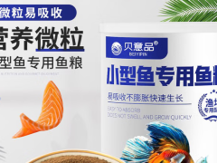 贝意品鱼饲料：小型鱼快速成长的“魔法秘方”