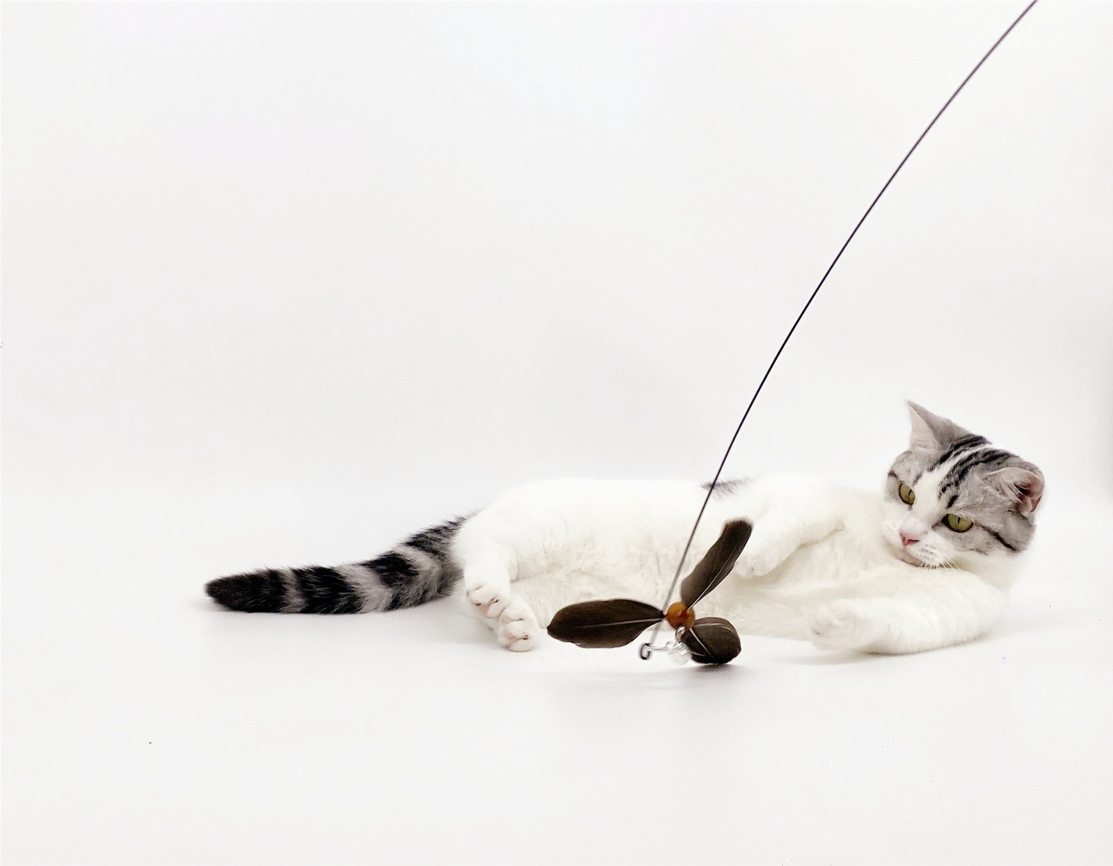 厂家定制旋转大风车长杆钢丝逗猫棒天然材质羽毛替换头猫玩具,OEM代加工，贴牌加工，ODM定制图2