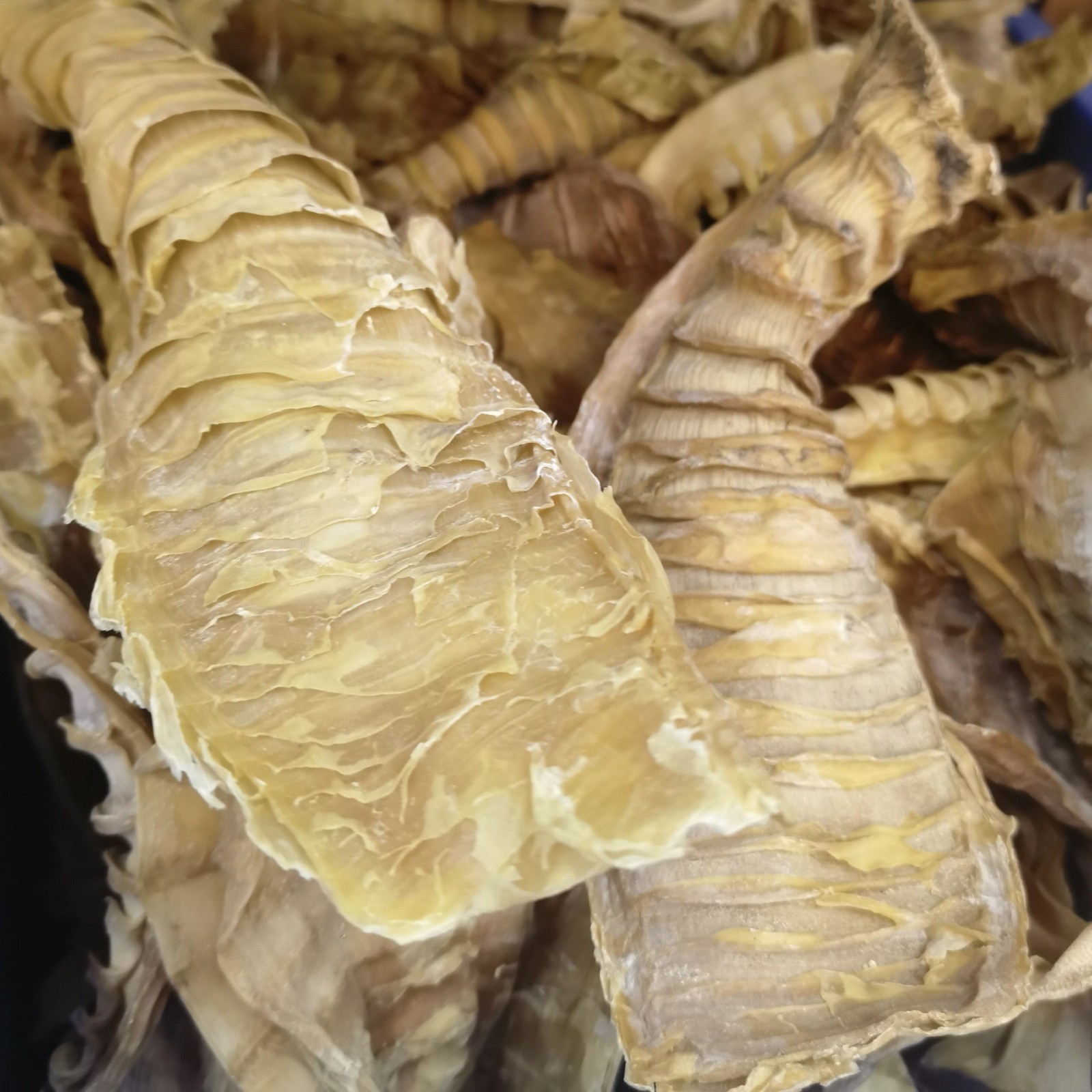 定制玉兰片福建笋干冬笋尖嫩尖水发笋脆嫩鲜香餐饮大量供应商用图3