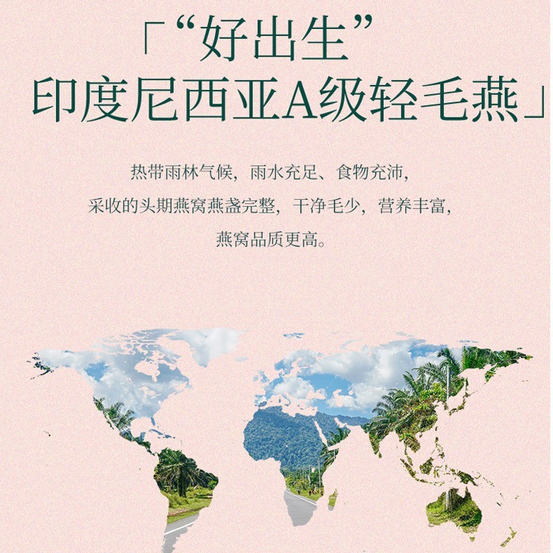 鲜炖燕窝批发高端礼盒即食燕窝原料滋补礼品现货人气新品,OEM代加工厂图2