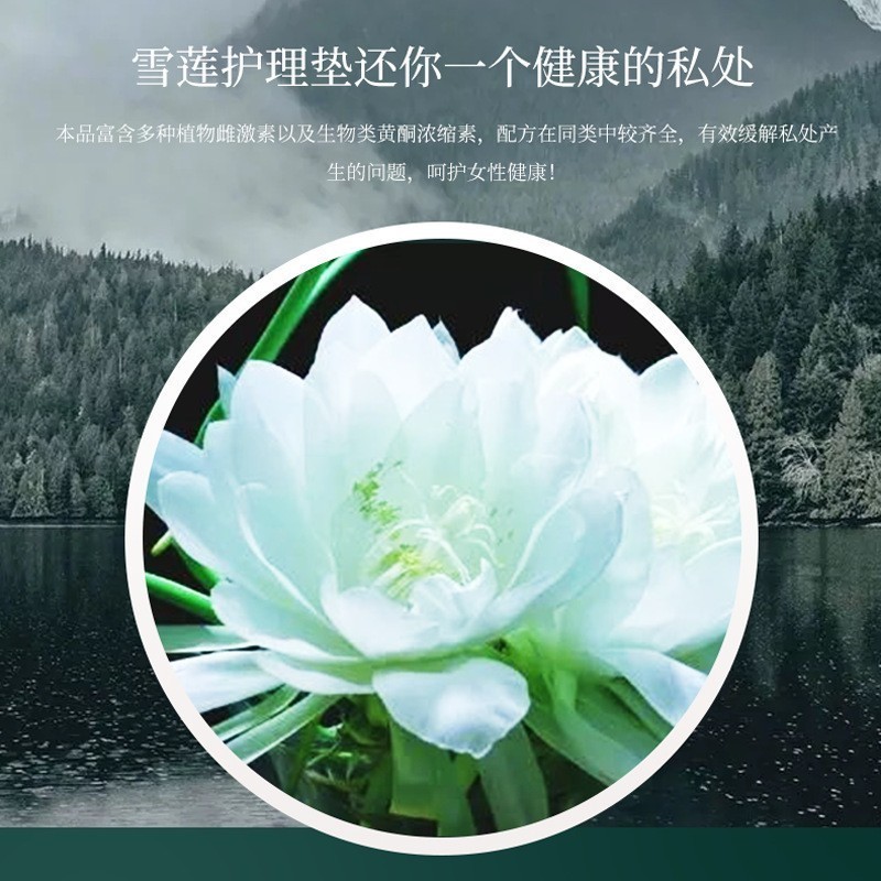 雪莲贴 草本护垫OEM养护贴 私密天山雪莲护垫私护保养厂家代加工图3