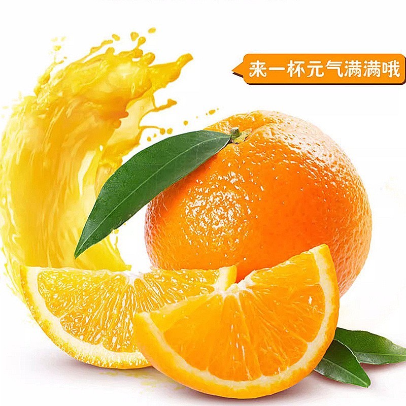 橙汁颗粒 固体饮料 奶茶店鸡排店饭店专用 OEM ODM定制贴牌代加工图2