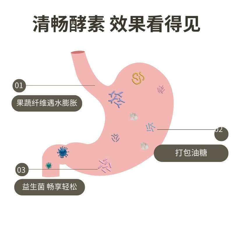 益生菌纤维酵素正品源头工厂膳食益生元贴牌代工乳酸菌,接OEM/ODM订单图4