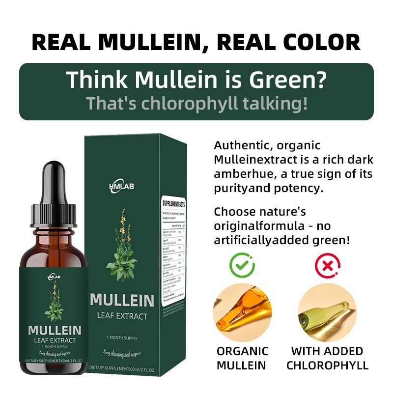 毛蕊花滴剂毛蕊叶提取物Mullein drops源头厂家OEM代加工厂图2