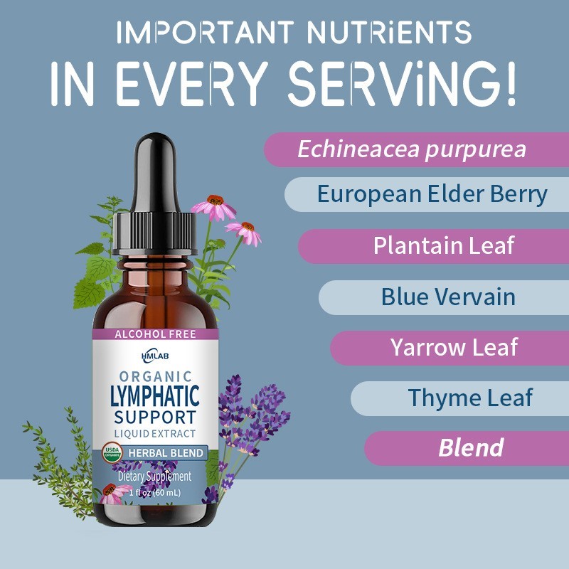 跨境爆款60ml紫锥菊滴剂LYMPHATIC工厂OEM/ODM订单图2