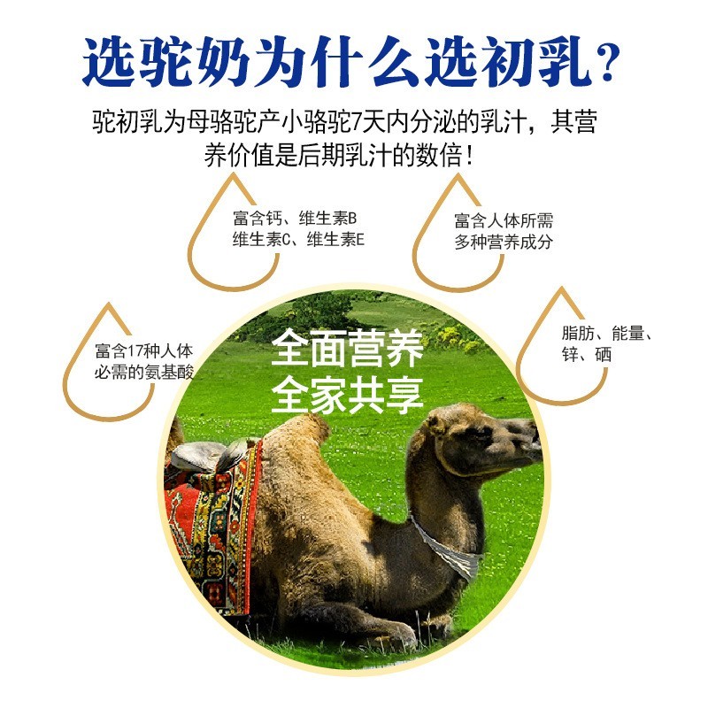 新疆驼奶初乳益生菌配方驼乳粉青少年中老年骆驼奶粉OEM代加工图2