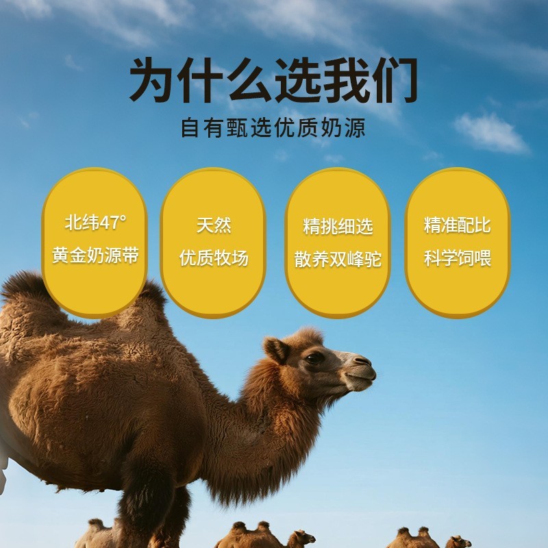 新疆驼奶粉贴牌定制骆驼奶粉全脂骆驼奶粉300g会销源头工厂家代工图2