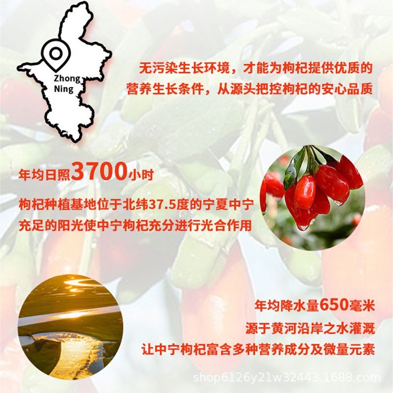 宁夏滋补红枸杞子原汁原浆 工厂NFC养生玻璃瓶浓鲜枸杞果汁原桨浆 OEM代工厂图2