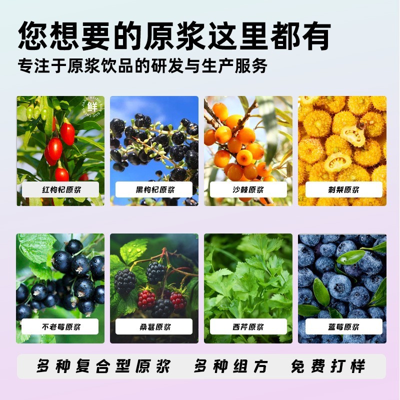 野樱莓原浆鲜果鲜榨黑果花楸贴牌代工不老莓原浆 OEM代工厂图4