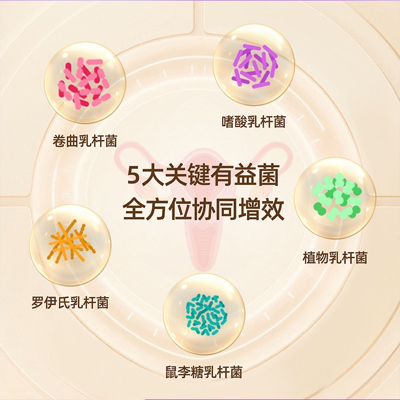 定制加工霉菌性私密益生菌平衡抑菌片女性私密护理妇科活性益生菌  OEM代工厂图4