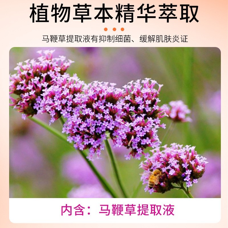 贴牌男士洗液私处泡沫护理抑菌洗液草本私处清洁去异味男士私密护理液  oem/odm订单图3