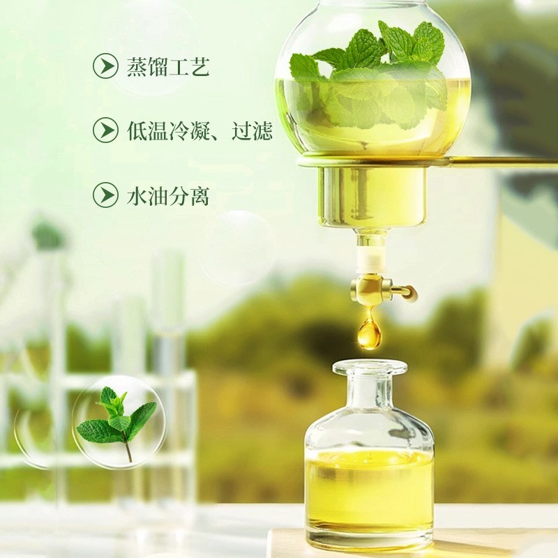 薄荷精油去黑头复方精油美容院按摩推拿OEM 贴牌定制图4