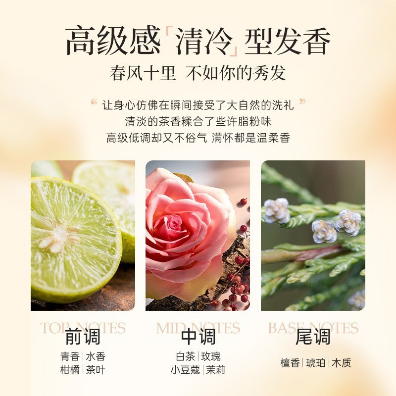 洗发水沐浴露厂家贴牌加工山茶花氨基酸清洁儿童洗护套装OEM定制图3