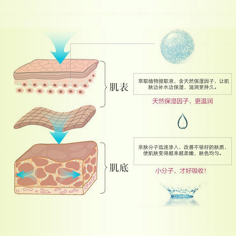爆款加工绿豆泥浆面膜清爽不油腻清洁泥膜祛痘保湿面膜化妆品定制图2