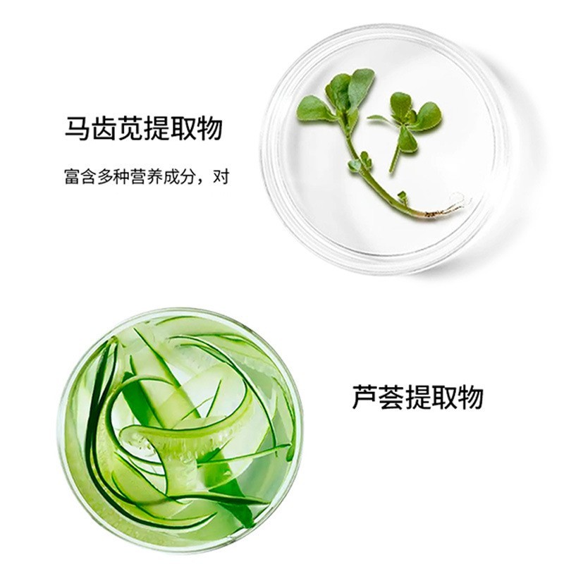 源头工厂代加工艾叶柚叶净螨香氛沐浴露肌肤清洁烟酰胺沐浴露定制图5