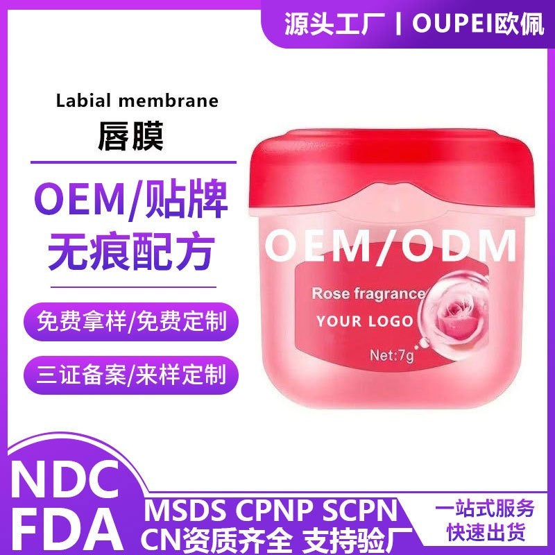 跨境外贸润唇膏滋润保湿唇膜男女唇部护理唇膜套盒OEM定制代加工图2
