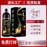 一支黑遮盖白发染发剂易洗黑白转黑植物温和泡泡染膏厂家定制