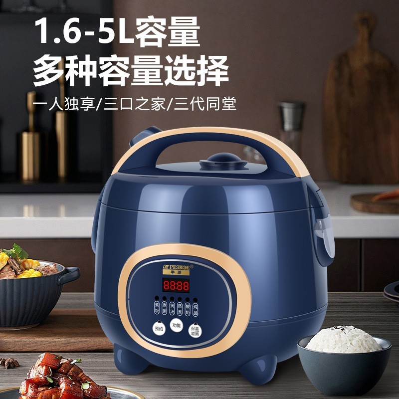 电饭煲家用2-4人1小型迷你3L智能单人多功能煮粥5升饭锅图2