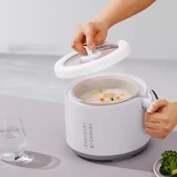 电饭锅支持跨境定制一人食多功能迷你智能电饭锅小型2-3人