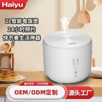 2L电饭锅支持跨境定制多功能迷你智能电饭锅小型3-4人