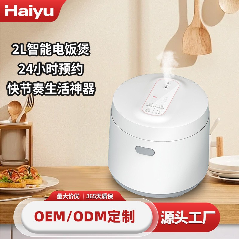 日韩风格电饭煲一人食多功能迷你饭煲智能电饭锅小型4-5人