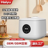 跨境3L电饭煲一人食多功能迷你饭煲智能电饭锅小型4-5人
