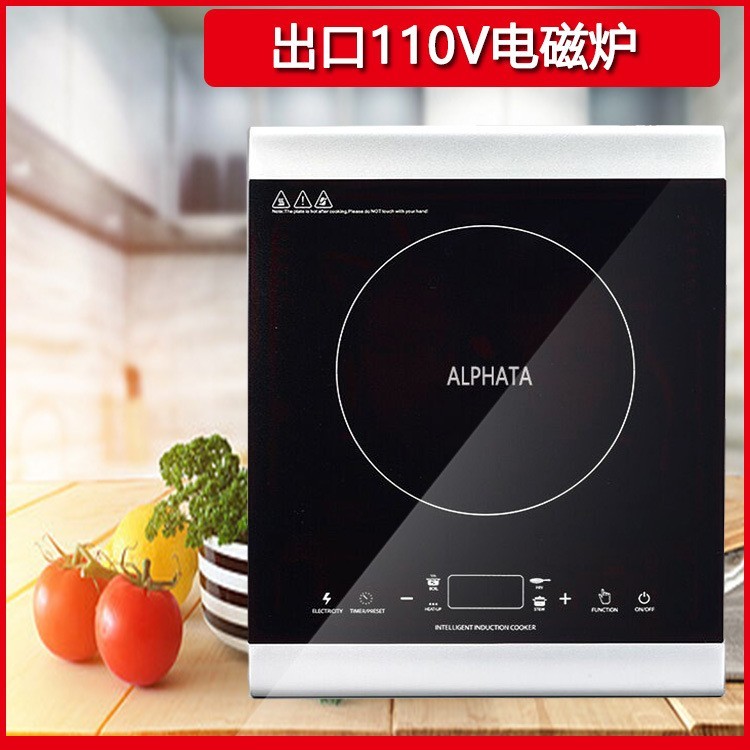 电磁炉 外贸家用小型出口电磁炉爆炒迷你火锅炉厂家定制新品图5