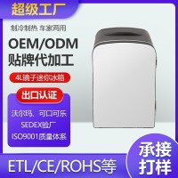4L镜面美妆化妆品水果饮料冷藏箱学生宿舍小冰箱冷藏护肤品冰箱