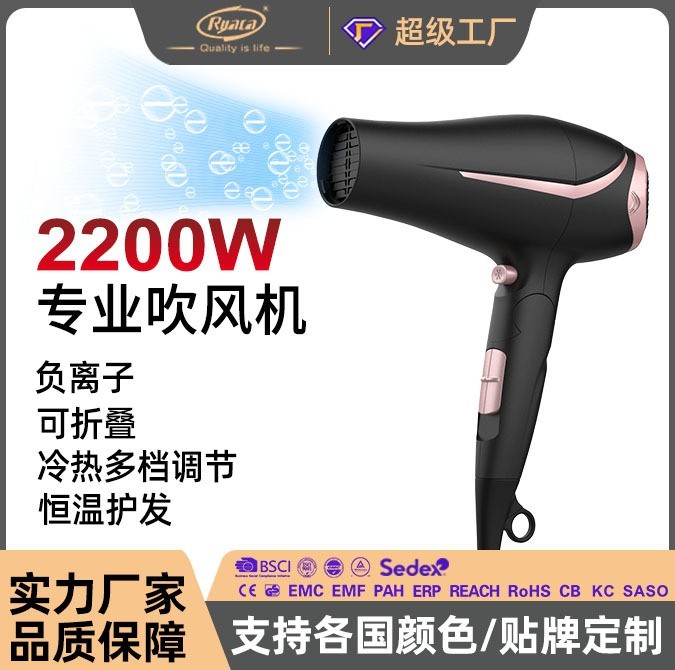 跨境家用吹风机可大功率折叠负离子大风量冷热电吹风欧标