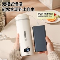 定制便携式烧水壶USB旅行烧水杯小型电热杯恒温热水壶煮水杯