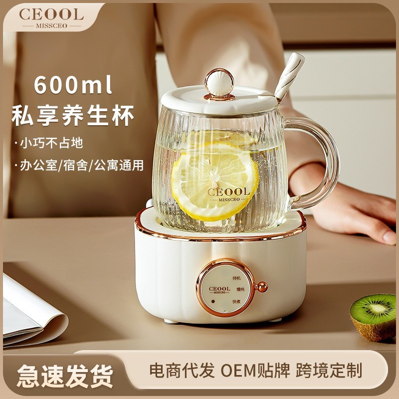 电炖杯煮茶专用加热养生杯办公室家用多功能小型一人用烧水养生壶图4