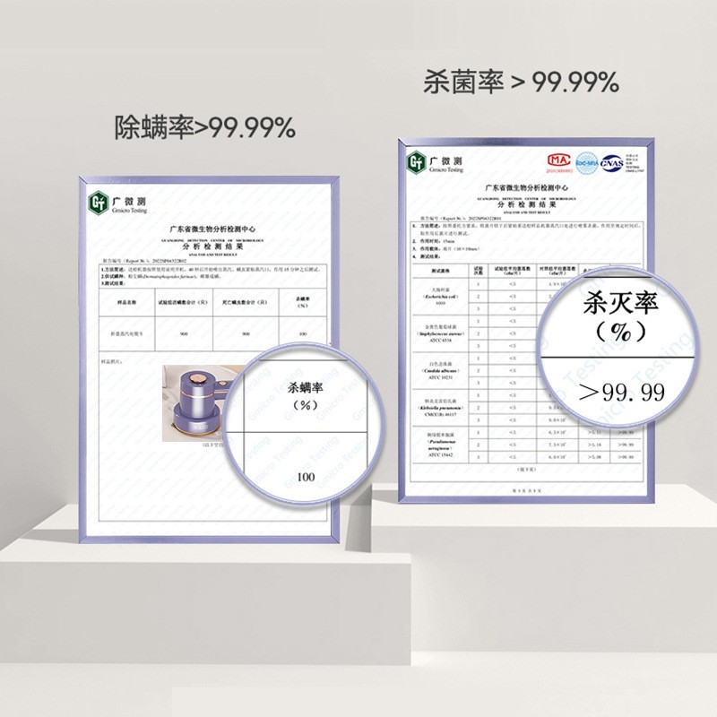 蒸汽挂烫机家用手持便携式烫衣服熨烫机除皱神器图2