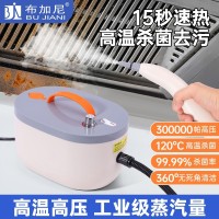 跨境2500W高温蒸汽清洁机手持厨房油烟油污清洁机杀菌消毒清洗器