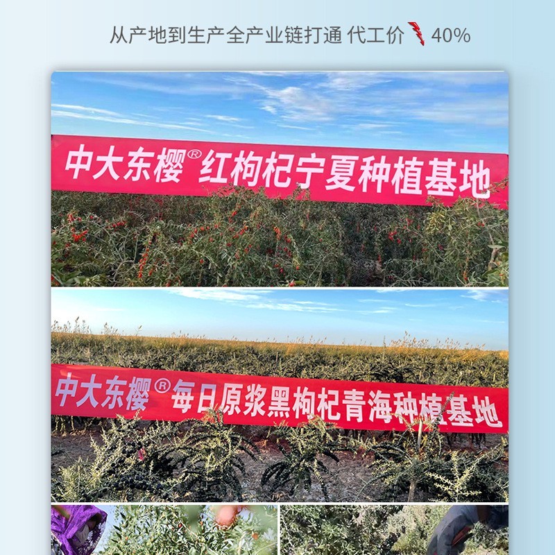 酵素饮料定制加工女性滋补茶红参液山参一整根鲜人参水中老年图4