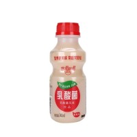 定制乳酸菌饮料益生菌风味乳饮料酸奶牛奶风味饮品OEM贴牌ODM代工