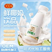 工厂贴牌椰汁奶含乳饮品饮料瓶装多样化椰奶OEM加工
