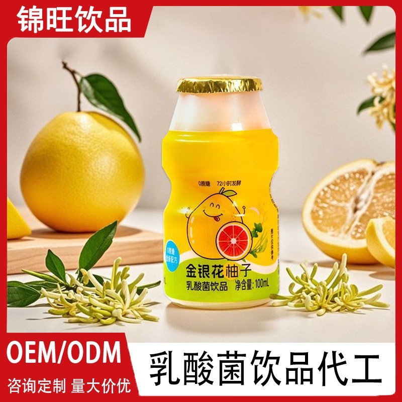 OEM源头代工厂贴牌定制代工PE瓶含乳饮料乳酸菌饮品ODM定制代加工图4