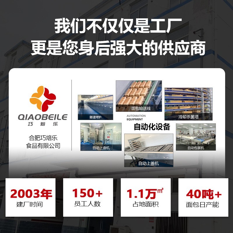 全麦零脂72%黑麦面包粗粮杂粮饱腹早餐代餐吐司OEM定制代加工定制图2