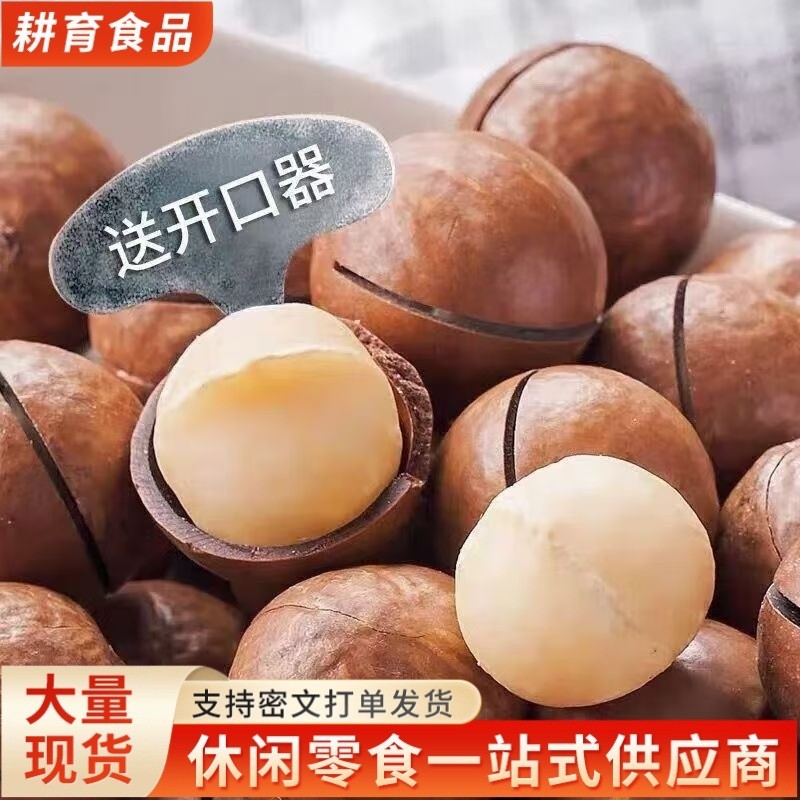 2025新采夏威夷果 奶油味香脆大颗粒 皮薄肉厚零食干果特产图2