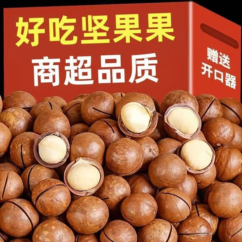 2025新采夏威夷果 奶油味香脆大颗粒 皮薄肉厚零食干果特产图5