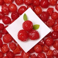 红李 李子果脯凉果蜜饯干果 散装贴牌