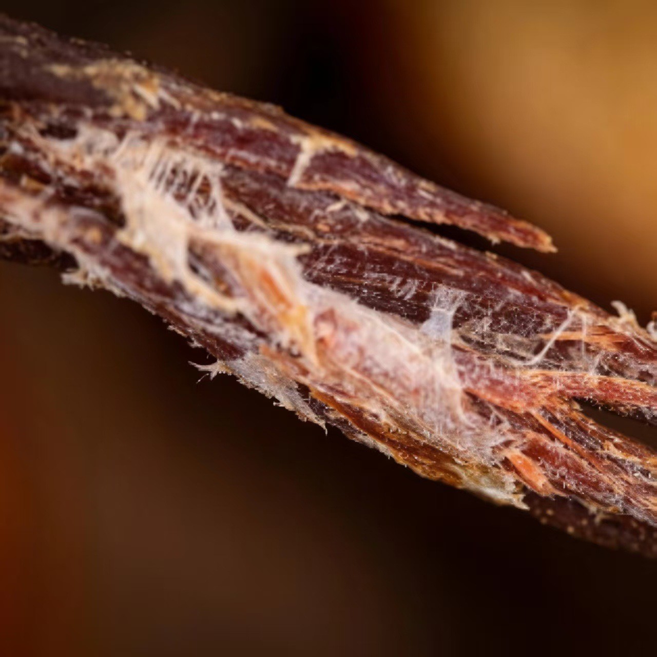 炭烤超干牛肉干内蒙特产手撕风干牛肉小包装牛肉零食50g图5