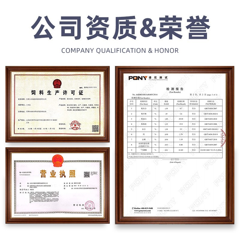 猫粮代工odm定制乳鸽猫粮贴牌成猫幼猫英短蓝猫通用厂家图2