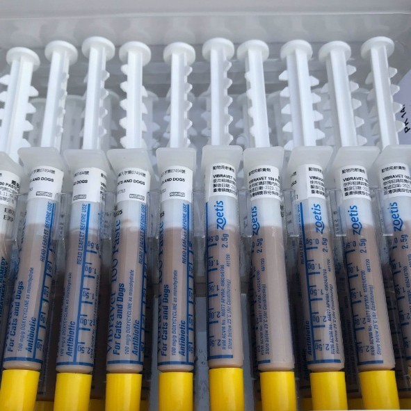 厂家定制贴牌宠物巧克力膏代工厂加工猫咪狗狗通用营养补充剂图3