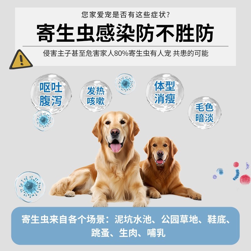 定制代工吡喹酮片狗狗驱虫药大型犬金毛拉布拉多宠物体内驱虫兽用图4