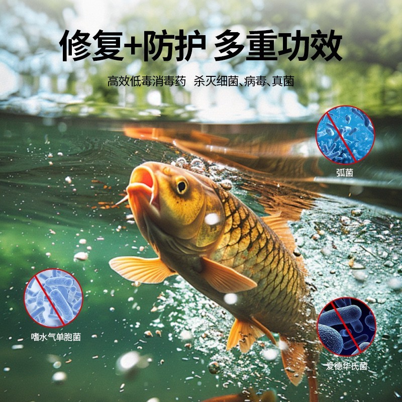 聚维酮碘消毒液水产养殖乌龟鱼虾蟹贝海参蛙鳝塘杀菌消毒水族图3