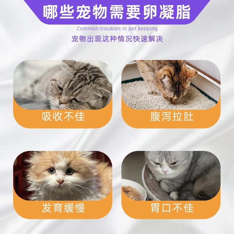 亚马逊跨境外贸益生菌软咀嚼颗粒宠物狗狗用助消化改善肠道美毛图2