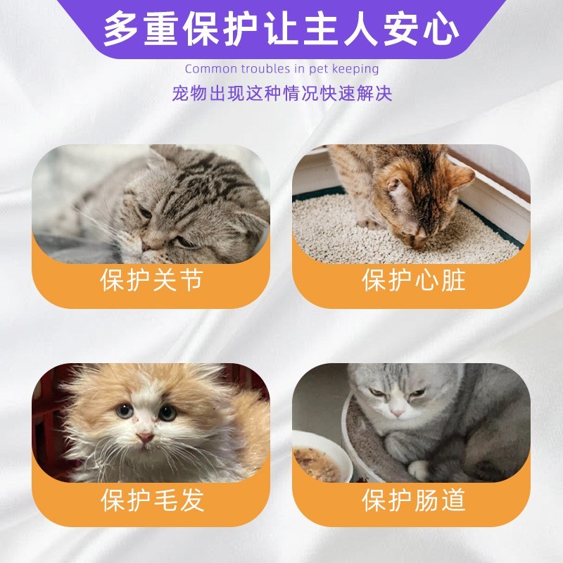 跨境宠物调理肠胃促吸收美毛亮毛防皮肤问题可定制毛发软颗粒犬用图3