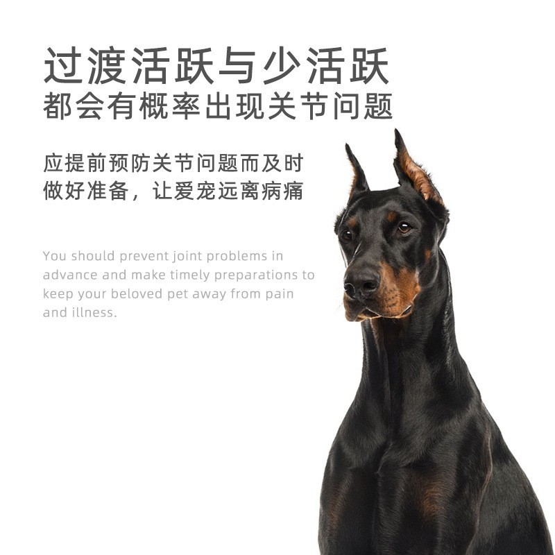 跨境专供软骨素葡萄糖胺软颗粒 狗狗健康与软骨发育支持关节保护图4