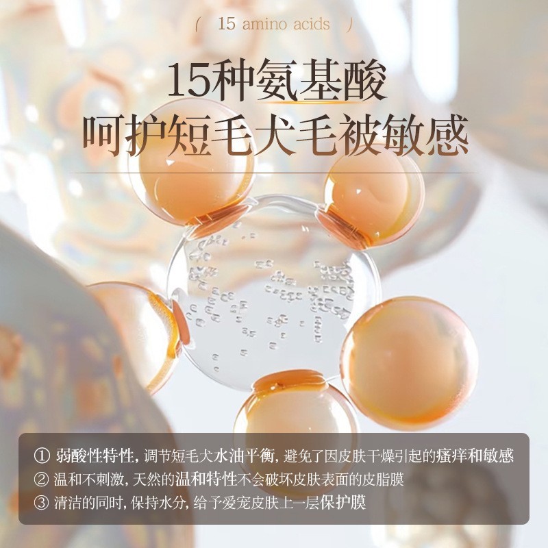 腊肠柯基吉娃娃杜宾短毛犬专用沐浴露oem 除异味猫狗沐浴露加工图2